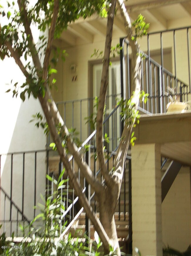 Stairs - From Court yard