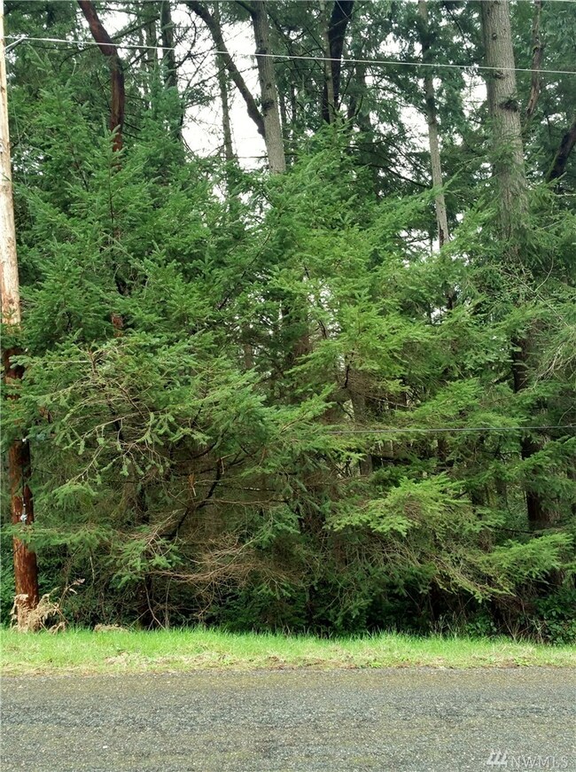 8812 Salal Dr unit AI, Anderson Island, WA 98303 - photo 4