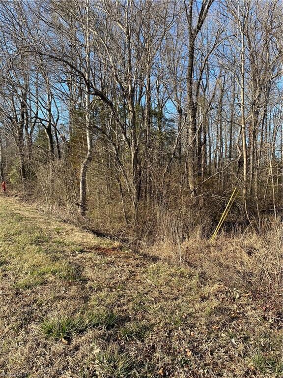 00 Southmont School Rd, Asheboro, NC 27205 - photo 2