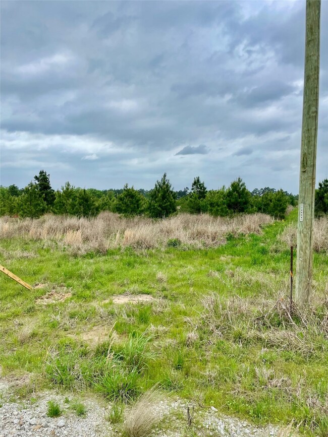 0 unit 46148677, Lovelady, TX 75851 - photo 6