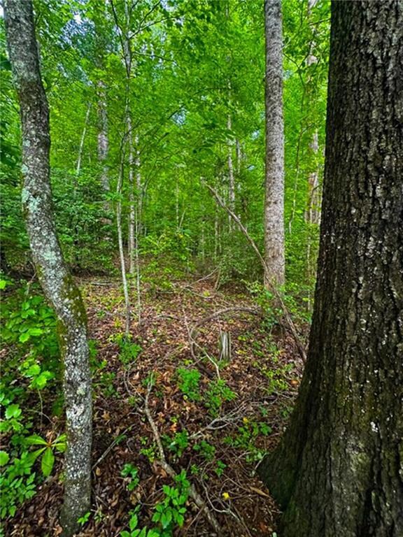 0 Camp Wahsega Rd unit 7600956, Dahlonega, GA 30533 - photo 5