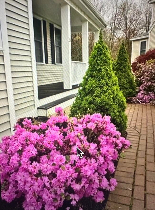 23 Wild Rose Dr unit U10, Nashua, NH 03063 - photo 3