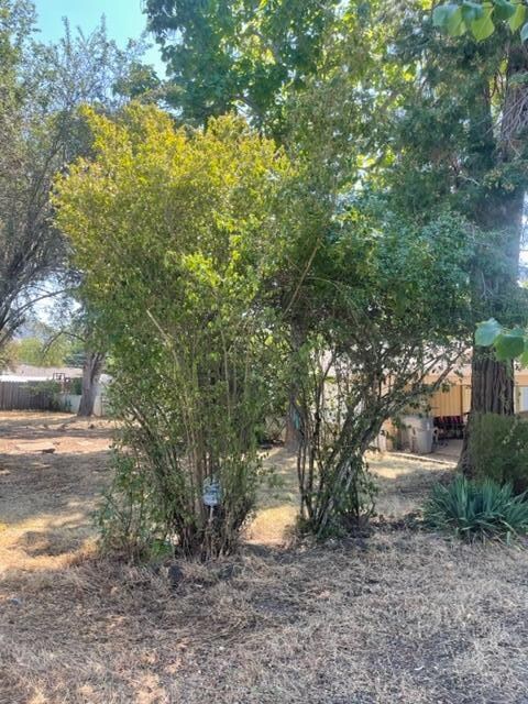 1439 NW Washington Blvd, Grants Pass, OR 97526 - photo 5