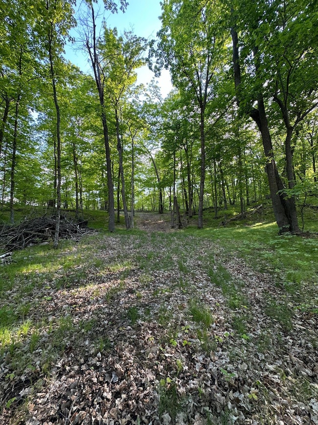 44698 Ida's Ln, Shell Lake Township, MN 56570 - photo 4