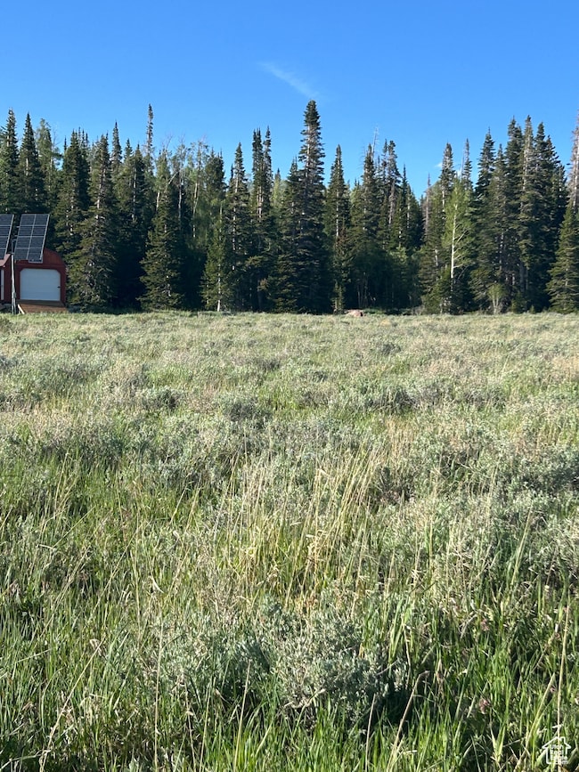 View of undeveloped land