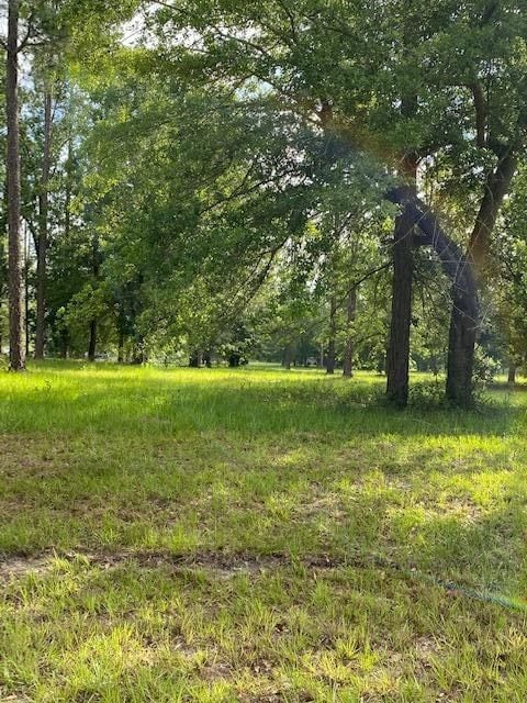 0 SE 64th St unit 24160643, Lake Butler, FL 32054 - photo 2