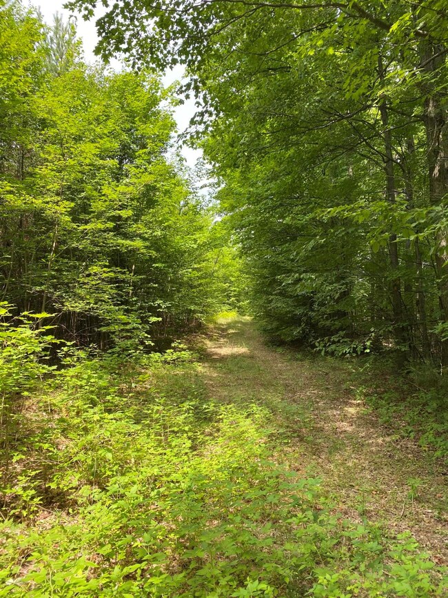 0 Old Vanderbilt Rd unit 40 ACRES 325256, Vanderbilt, MI 49795 - photo 7