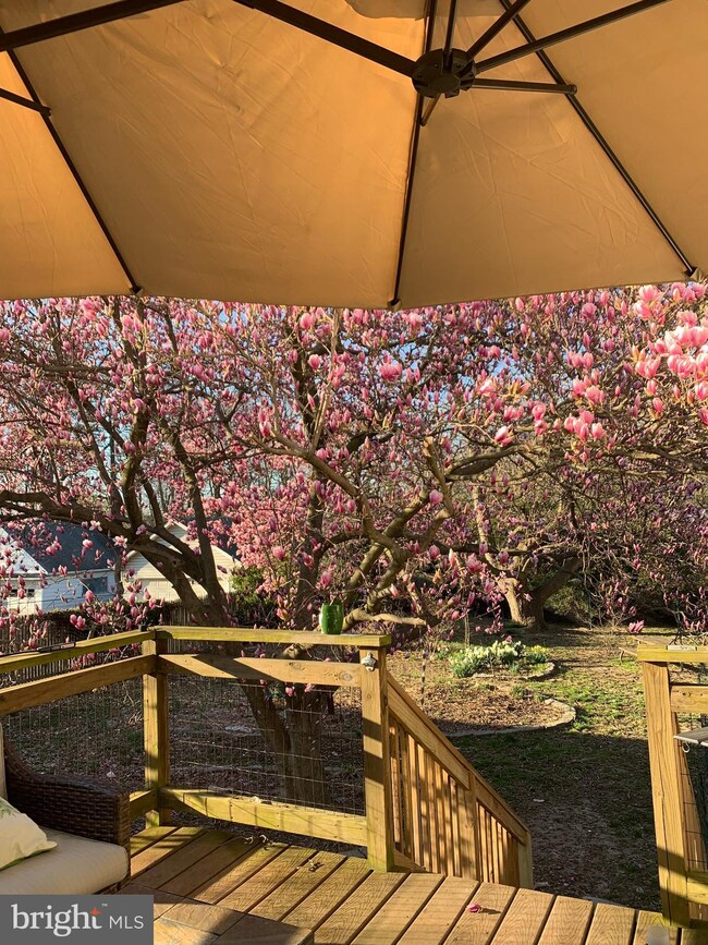 8207 Cypress St, Laurel, MD 20707 - photo 5