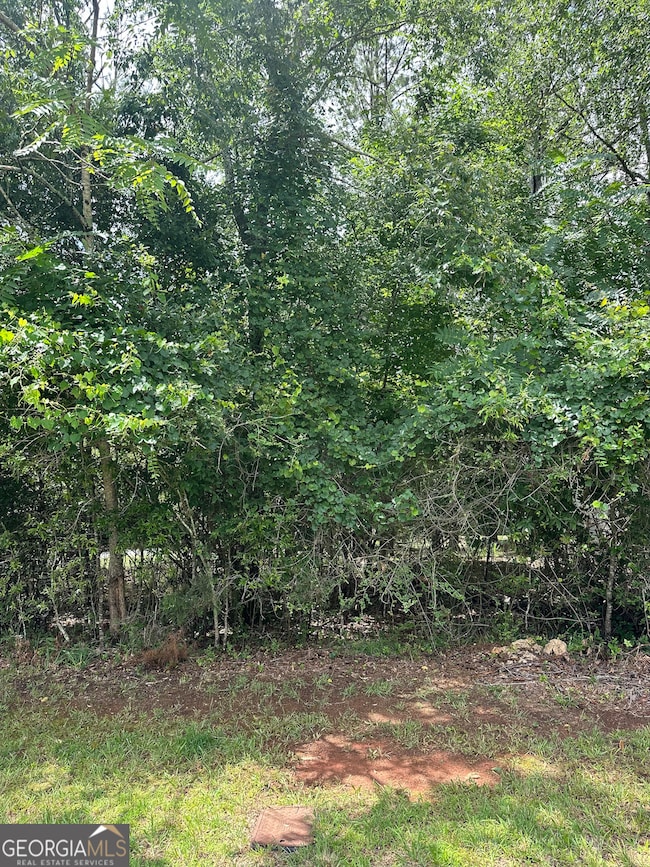 1361 Arborgate St, Madison, GA 30650 - photo 2