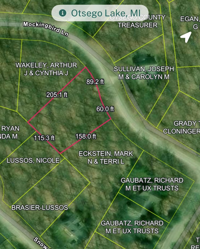 1868 Mockingbird Ln, Otsego Lake Township, MI 49735 - photo 2