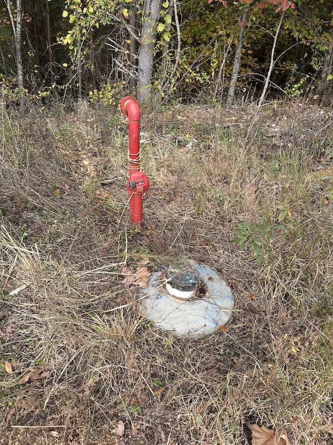 316 Arbor Rd, Linden, TN 37096 - photo 5