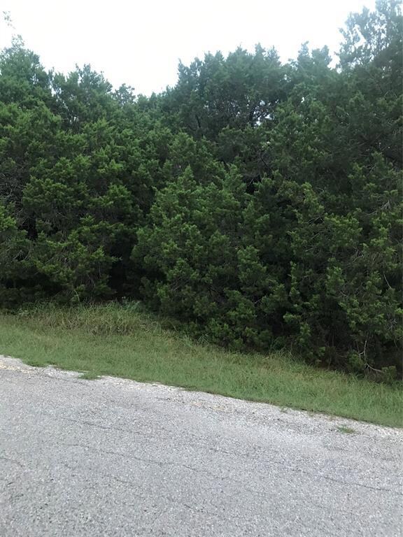 18170 Wildwood Dr, Whitney, TX 76692 - photo 6