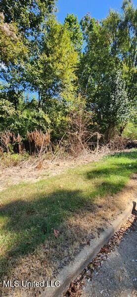 1106 Lakeshore Dr, Southaven, MS 38671 - photo 3