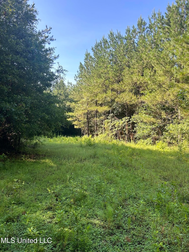 0 Mccullough Rd SE, Bogue Chitto, MS 39629 - photo 7