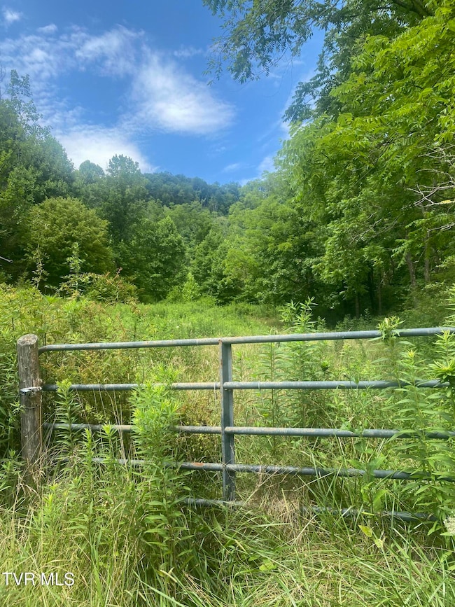 638 Old Highway 143, Roan Mountain, TN 37687 - photo 3