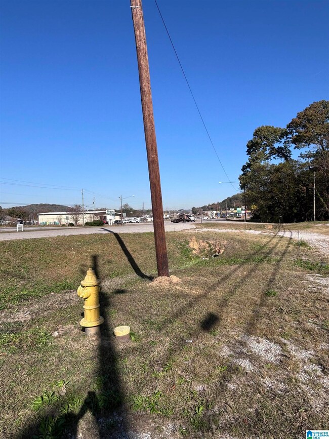 3459 Pelham Pkwy, Indian Springs Village, AL 35124 - photo 5