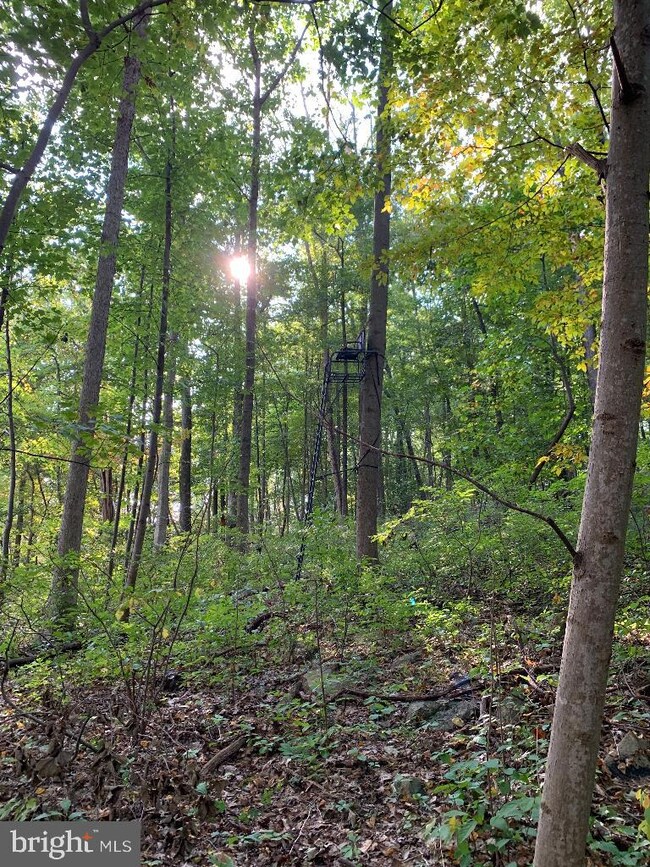 57 Woodchoppertwn Rd, Boyertown, PA 19512 - photo 5