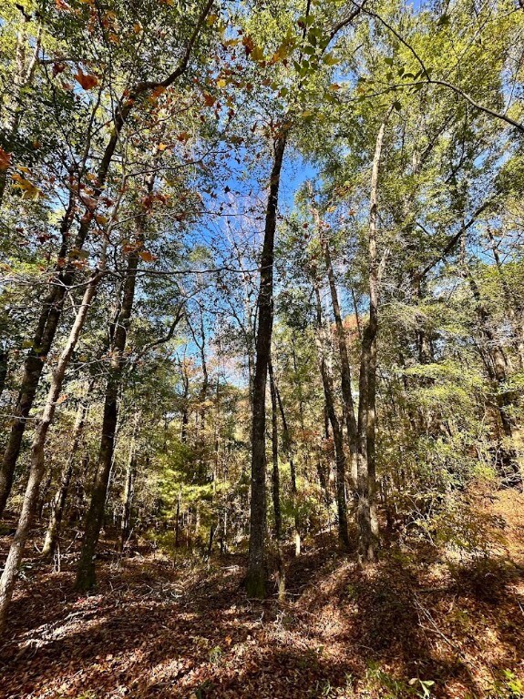 0 Highway 82 N, Eufaula, AL 36027 - photo 5