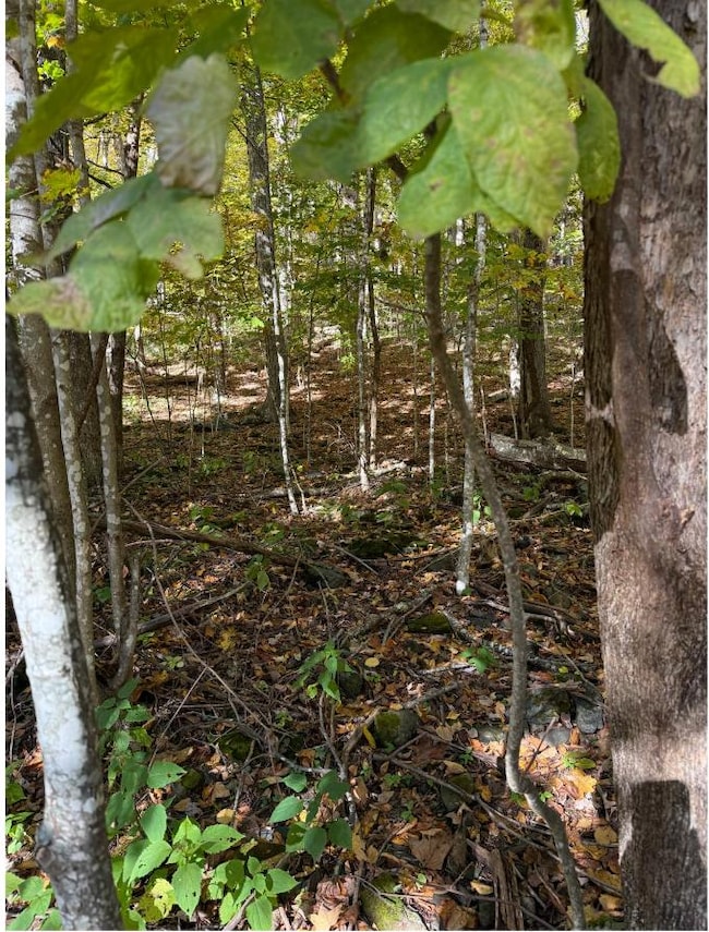 0 Lauren Ln unit 24422390, West Jefferson, NC 28694 - photo 2