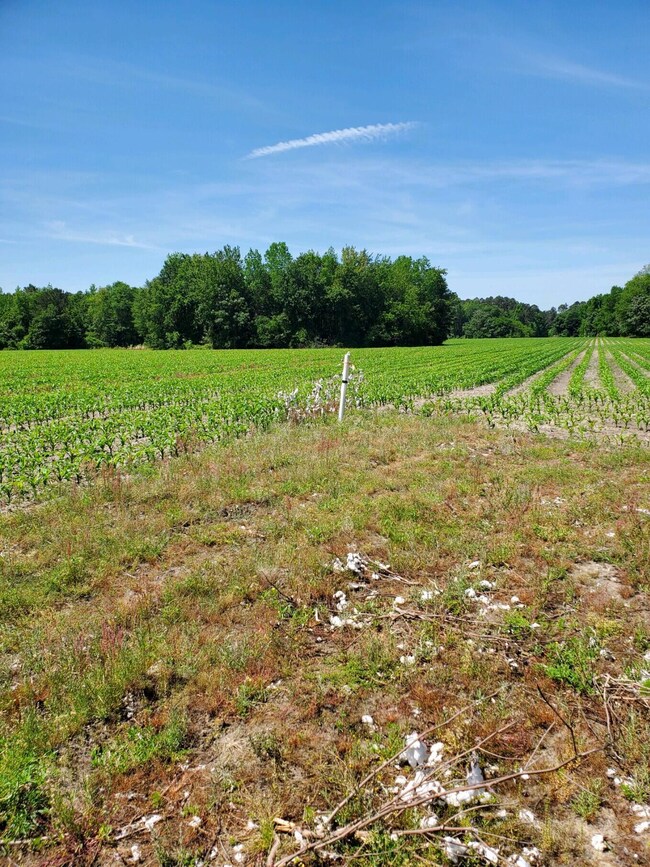 Back Left Corner of B