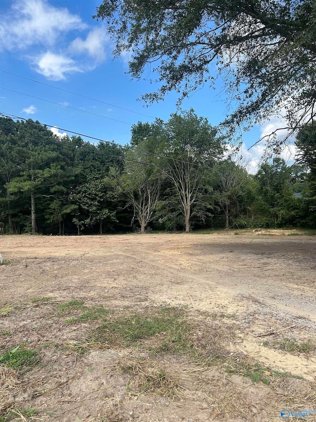 741 Haynes Rd NE, Arab, AL 35016 - photo 6