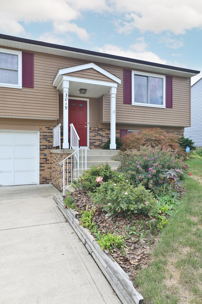 Front yard