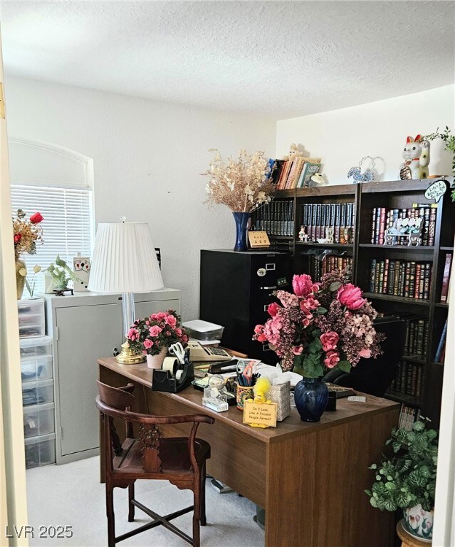 Carpeted office space with a textured ceiling