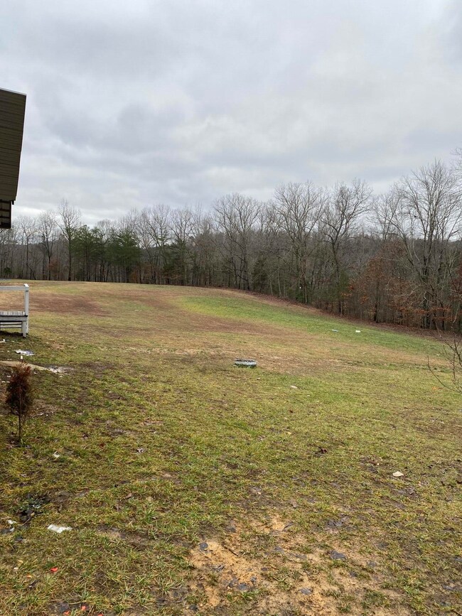 1036 Jesse Sears Rd, Somerset, KY 42501 - photo 7