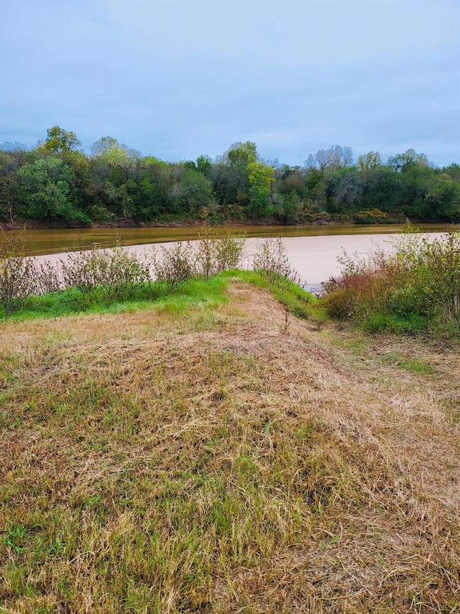 161 River View Ct, Millsap, TX 76066 - photo 4