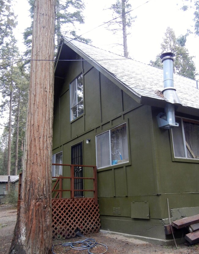 Additional Photo