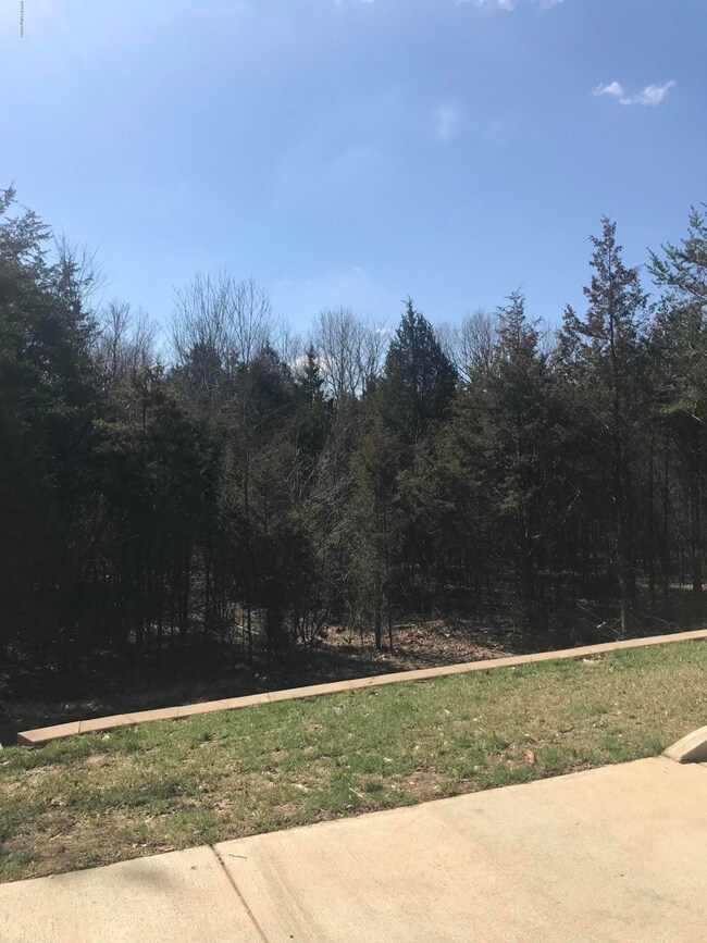 4631 Flatlick Rd, Mount Washington, KY 40047 - photo 5