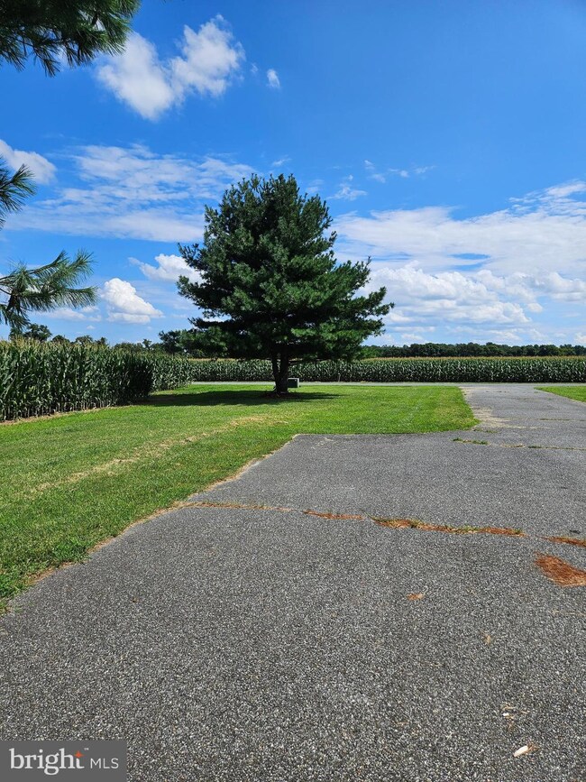 571 Mulberrie Point Rd, Frederica, DE 19946 - photo 4