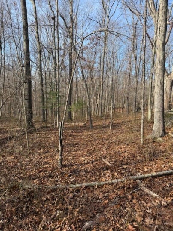 0 Huntinghouse Rd unit 1401585, Glocester, RI 02859 - photo 6