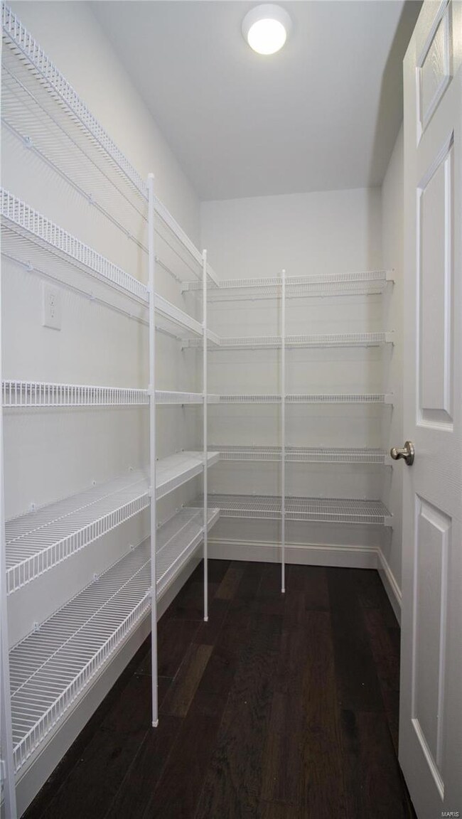 New Walk in Pantry.