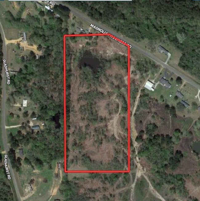 000 Magnolia Progress Rd, Magnolia, MS 39652 - photo 2