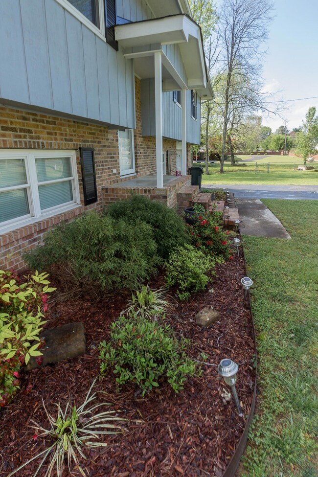 Landscaping in Front of House