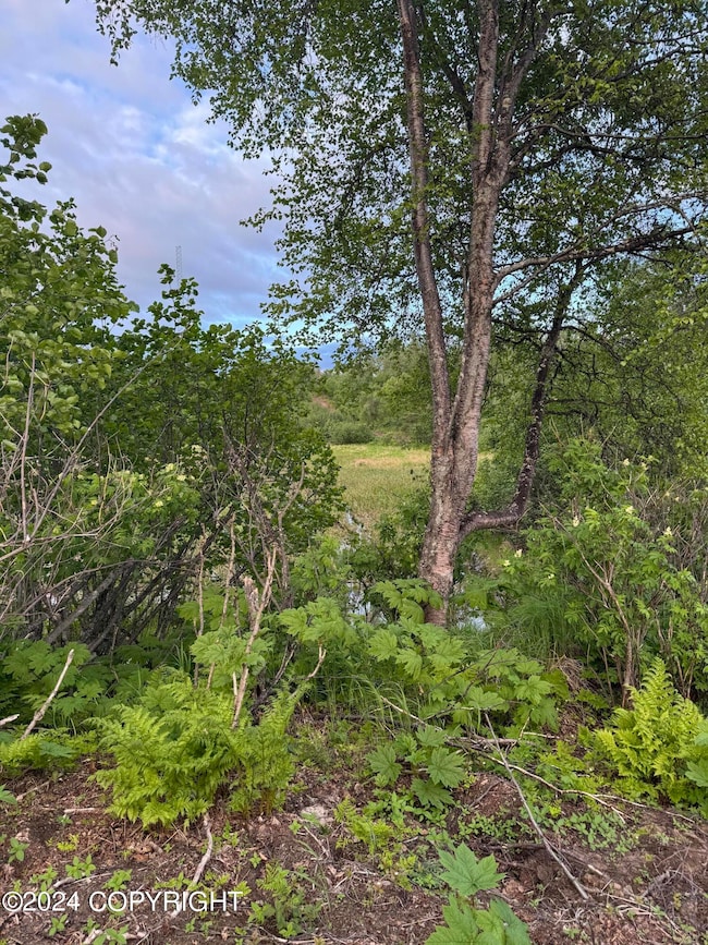 000 Wik Rd, Nikiski, AK 99611 - photo 6