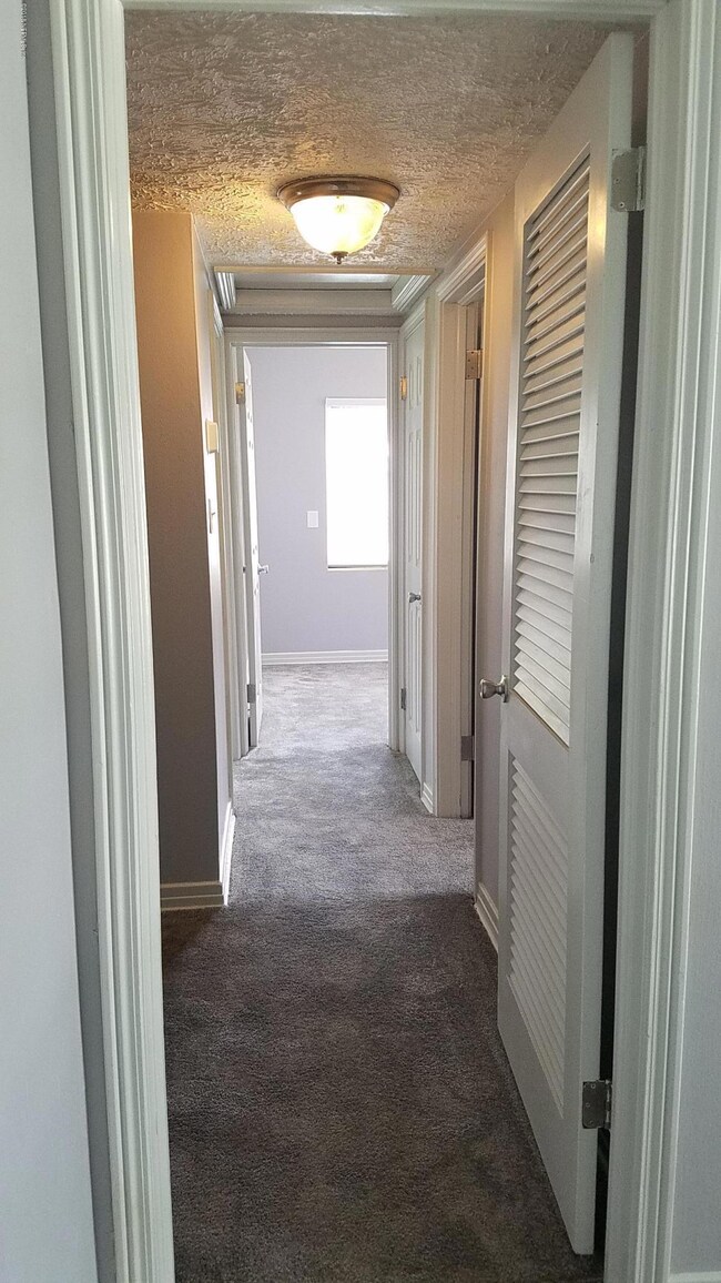 10551 Dove Ln, Jacksonville, FL 32218 - photo 6