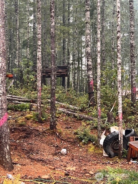 0 Tract 15 NE Dewatto Hills Rd, Belfair, WA 98528 - photo 6