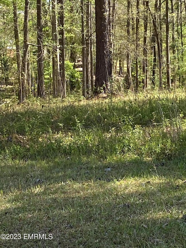 0 Road 171 unit 23-238, Carthage, MS 39350 - photo 3