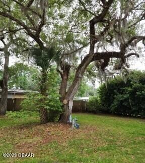 Front Yard