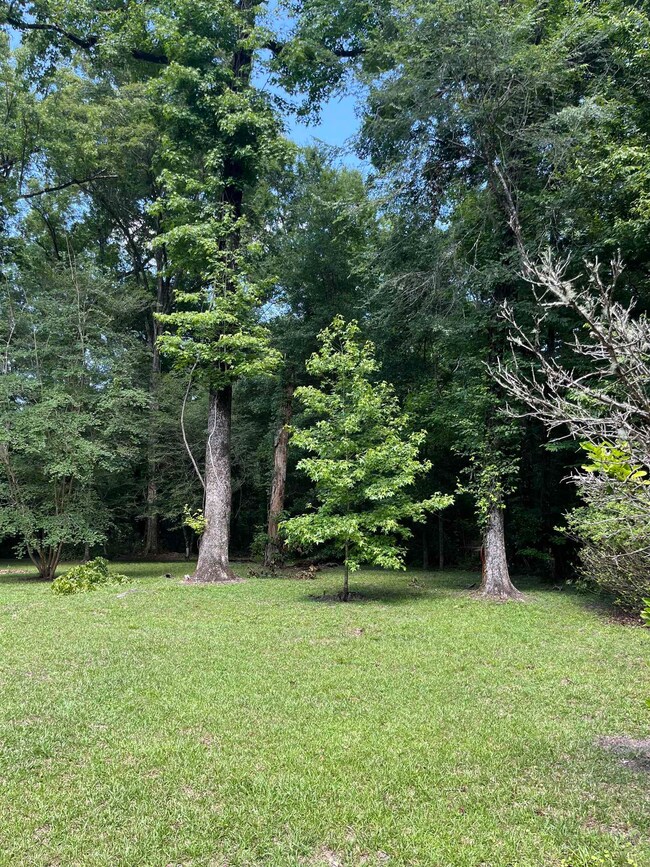 255 Beechwood Dr, Crawfordville, FL 32327 - photo 4