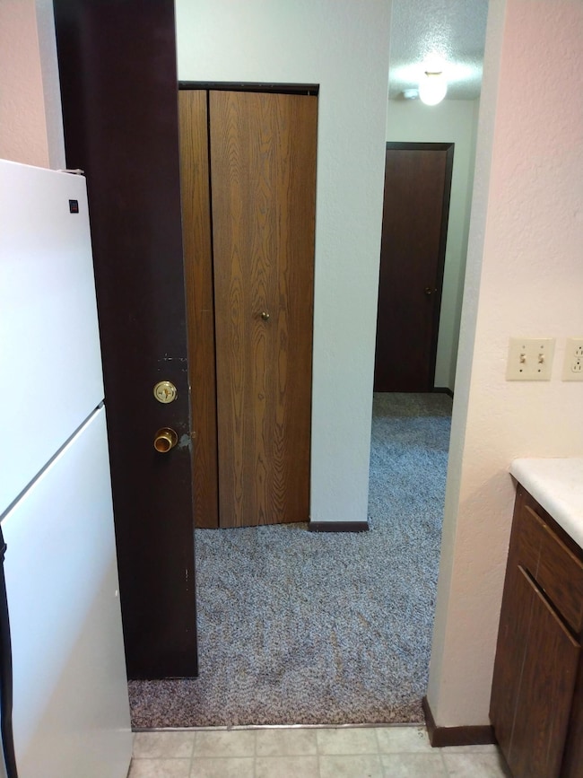 506 Carleton Ave, Morgan, MN 56266 - photo 3