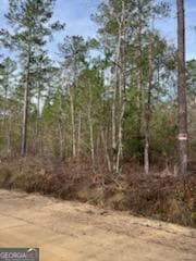 0 Busby Rd unit 10479601, Statesboro, GA 30458 - photo 6