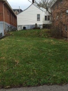 This is a view of the backyard from the