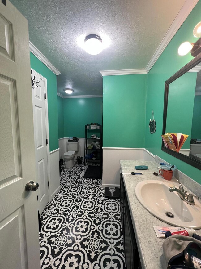 116 Deer Creek Cir, Nettie, WV 26681 - photo 7