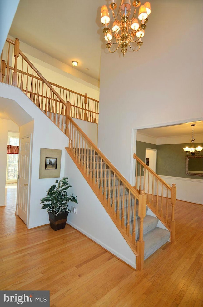 2400 Summershade Ct, Odenton, MD 21113 - photo 2