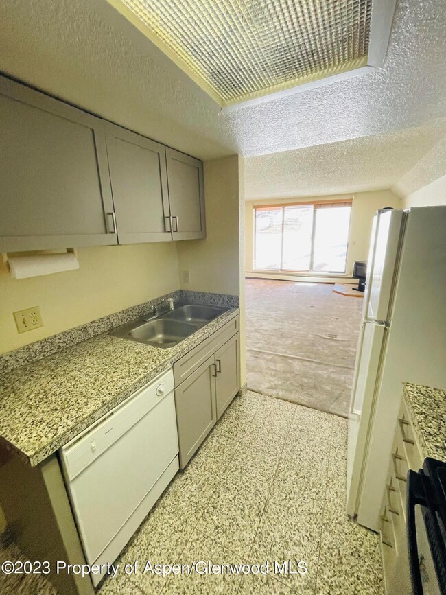 1318 Vine St unit 1318, Aspen, CO 81611 - photo 6