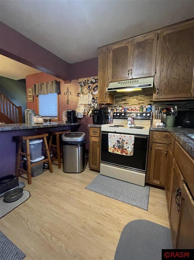 217 Dugan St S, Welcome, MN 56181 - photo 5