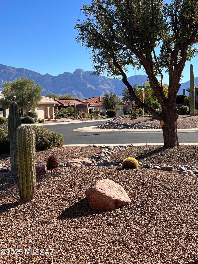 1851 E Lone Rider Way, Oro Valley, AZ 85755 - photo 4